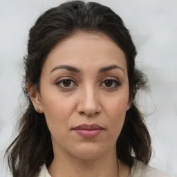 Lý Văn Sơn avatar